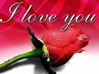pic for I Love You Rose
